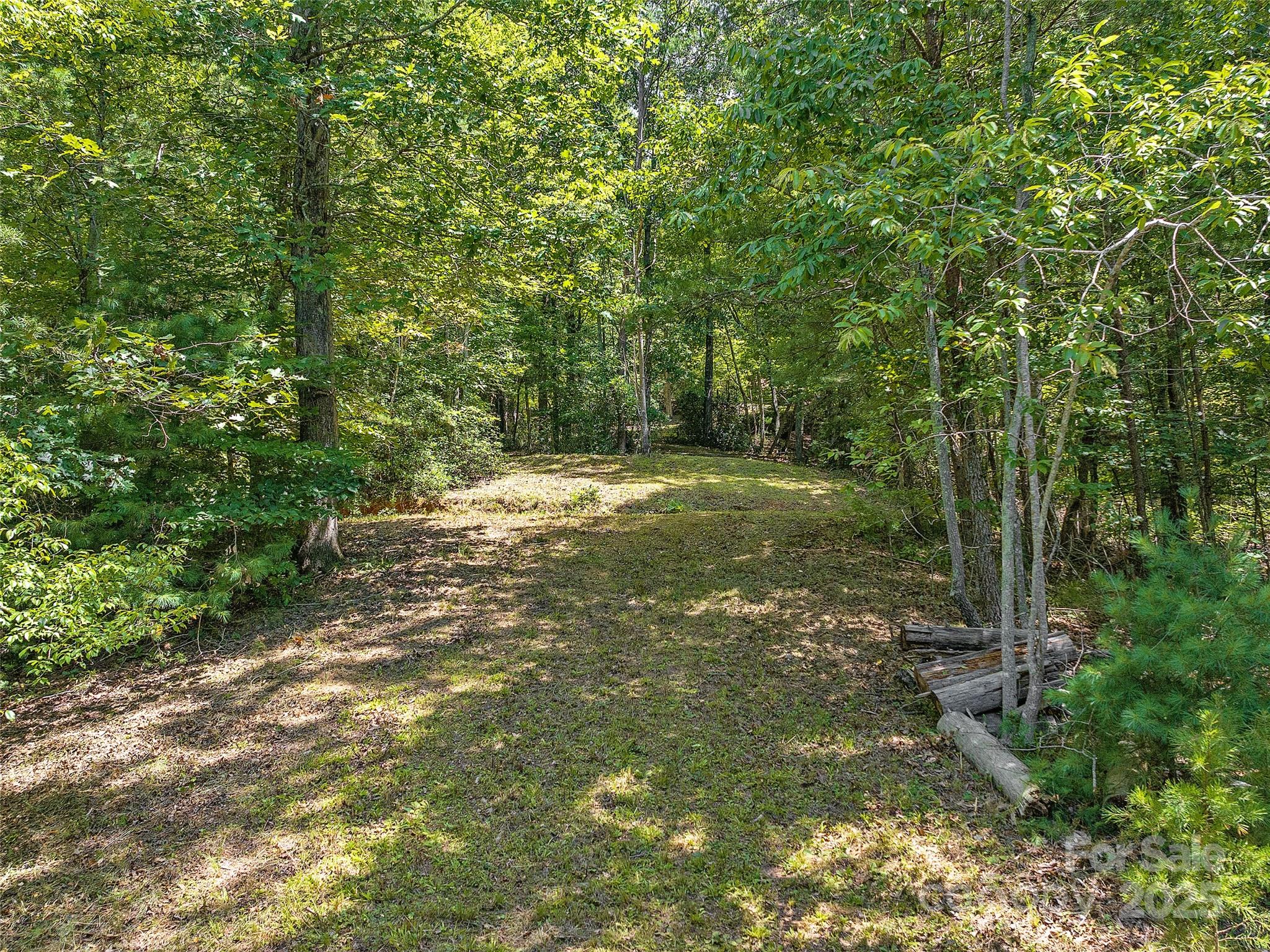 000 South Cove Road Mill Spring NC 28756