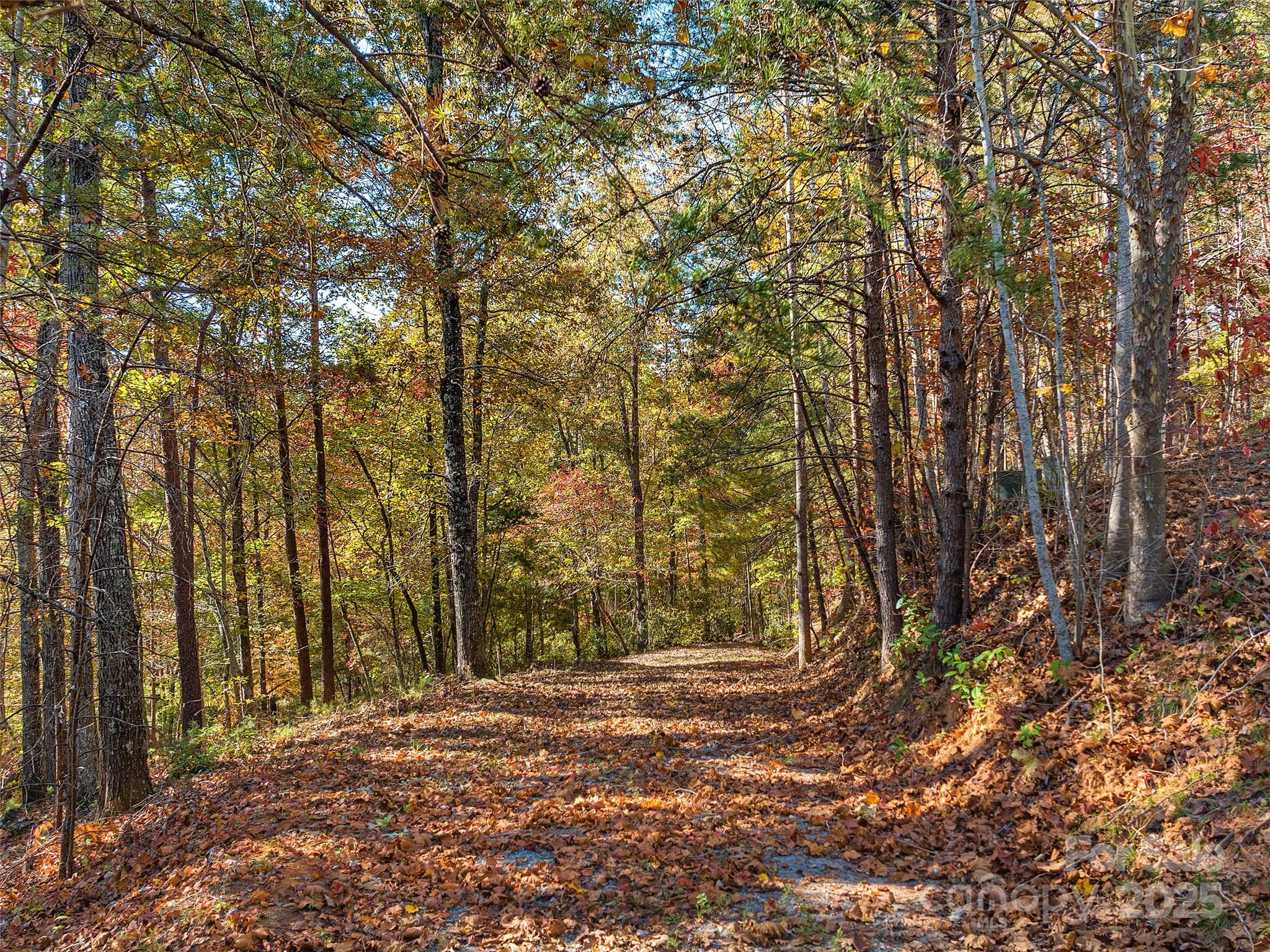 000 South Cove Road Mill Spring NC 28756