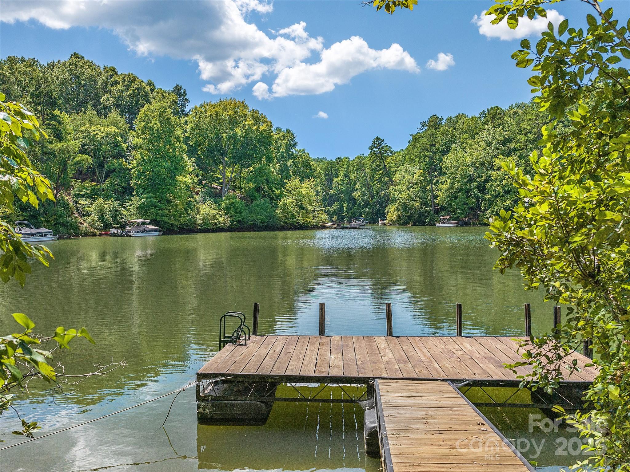 000 South Cove Road Mill Spring NC 28756