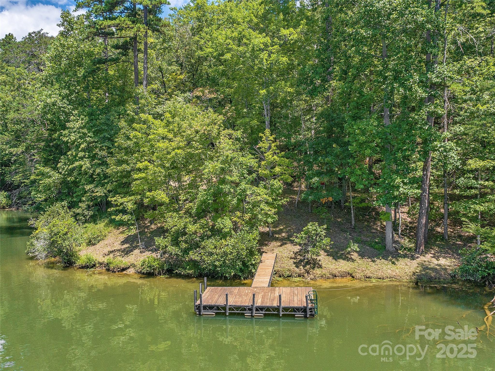 000 South Cove Road Mill Spring NC 28756