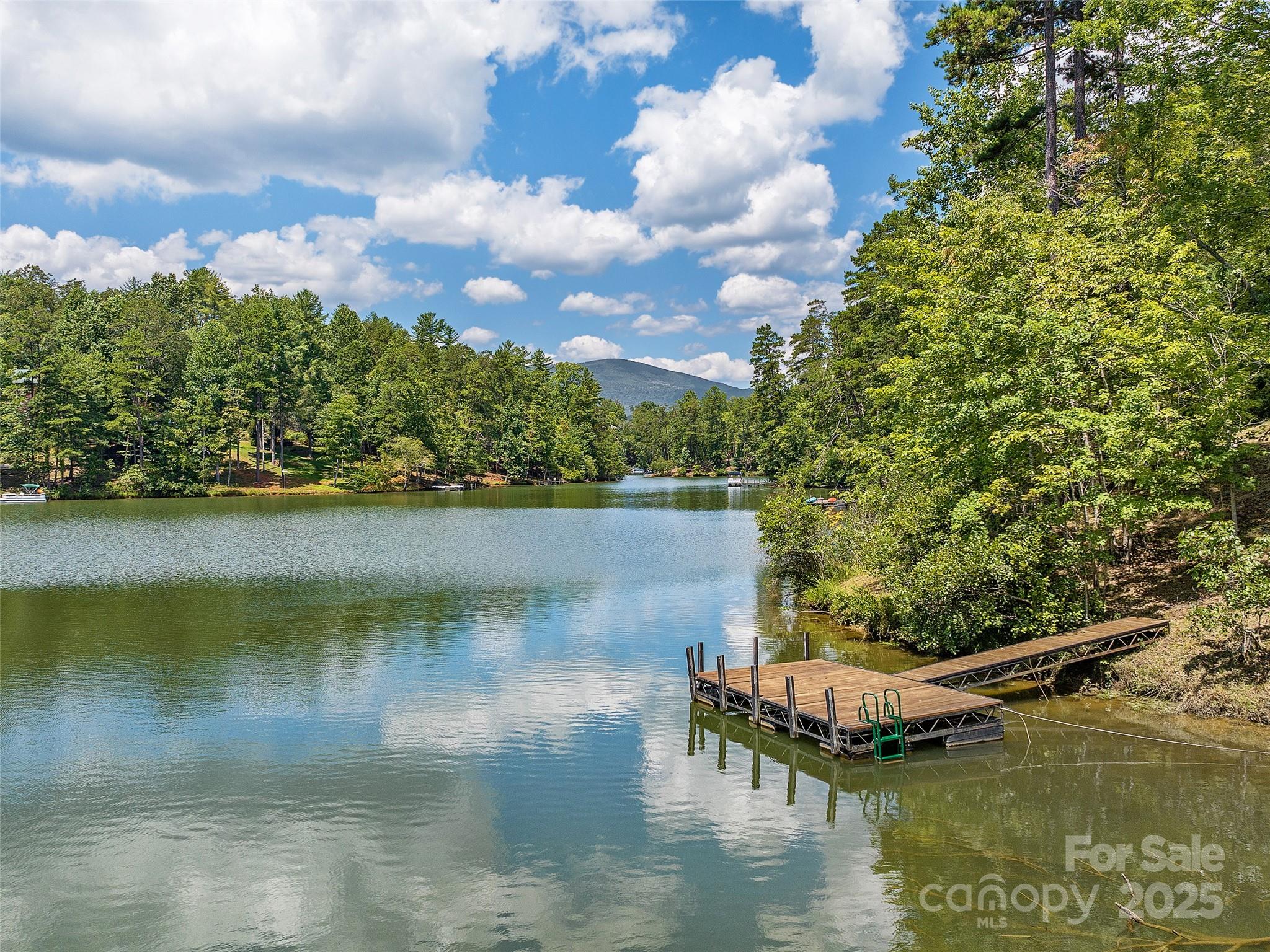 000 South Cove Road Mill Spring NC 28756
