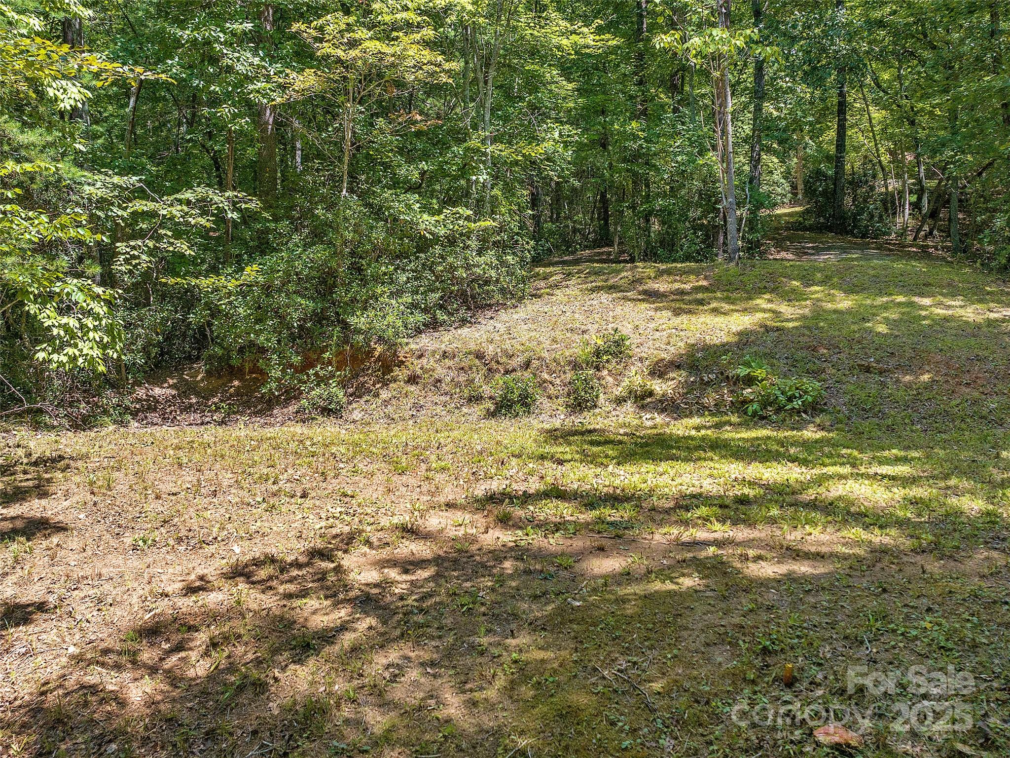 000 South Cove Road Mill Spring NC 28756