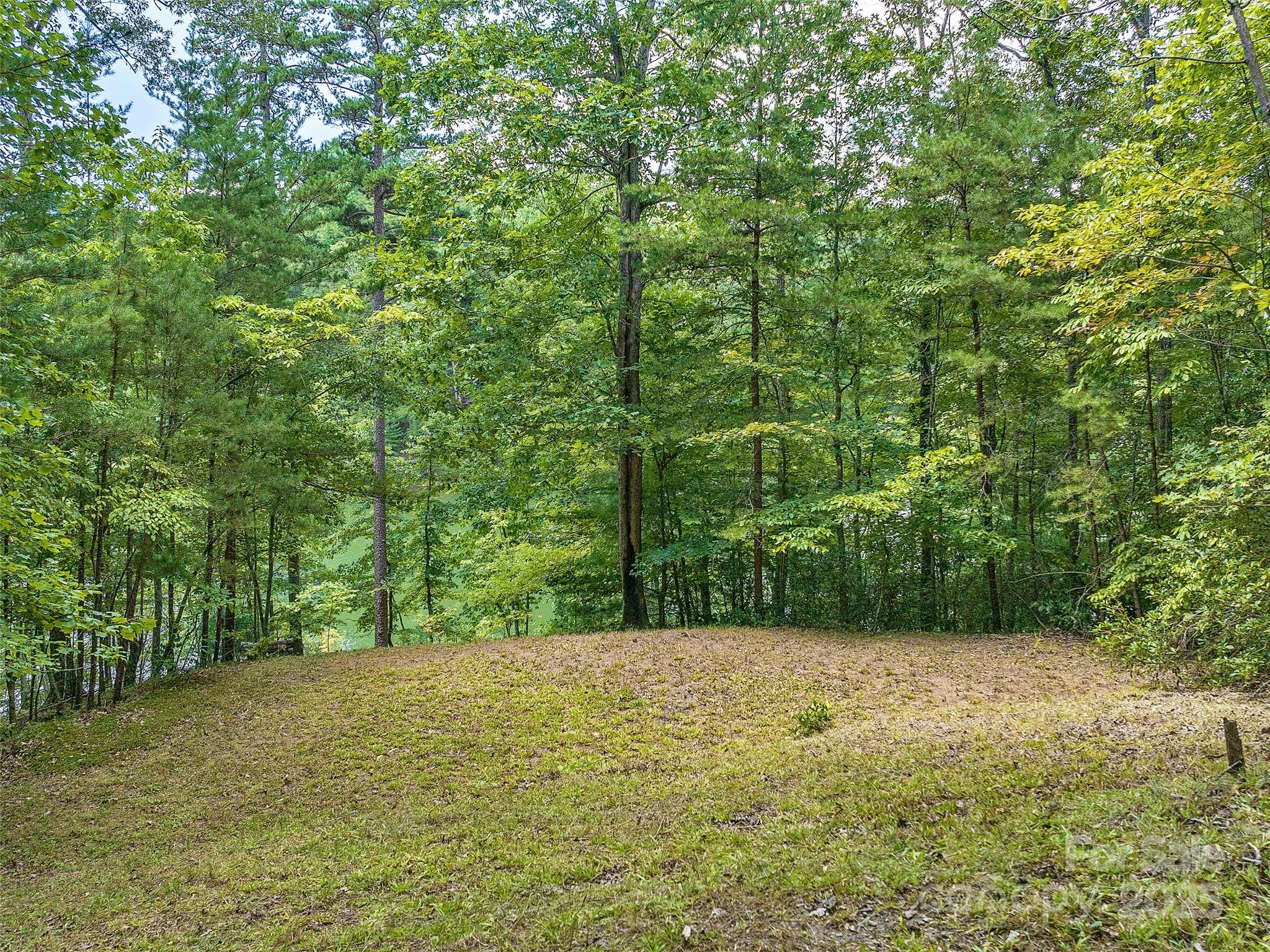 000 South Cove Road Mill Spring NC 28756