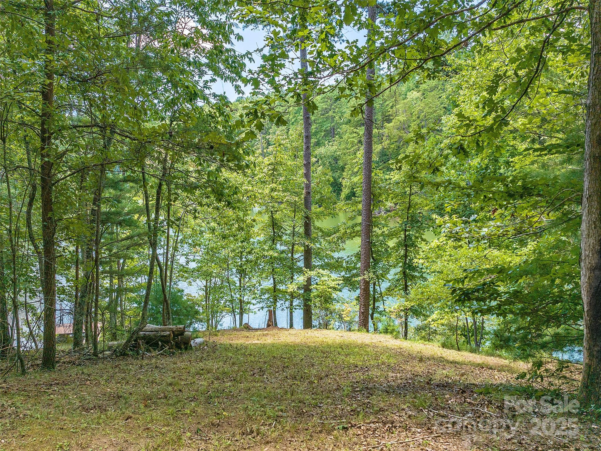 000 South Cove Road Mill Spring NC 28756