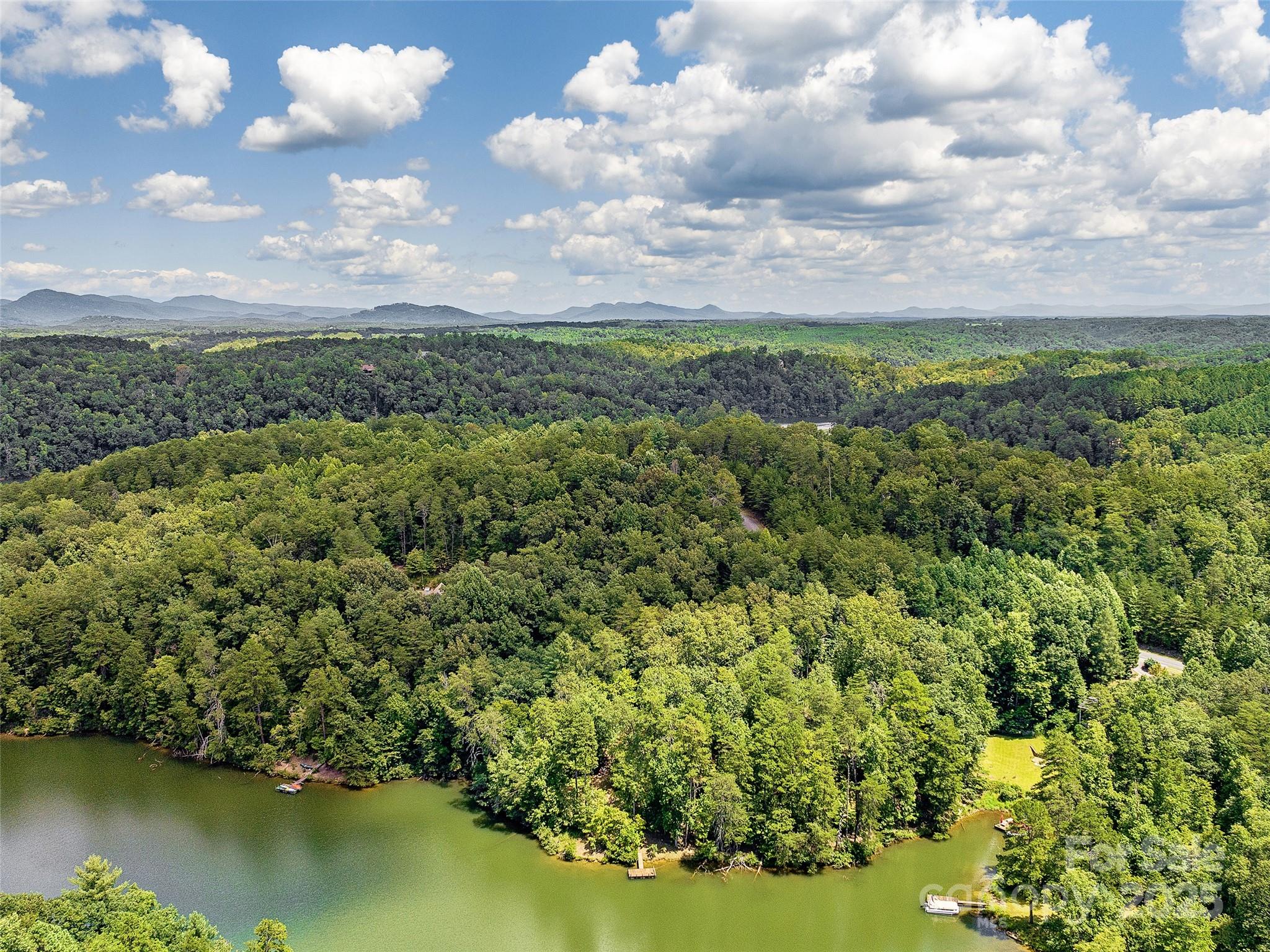 000 South Cove Road Mill Spring NC 28756