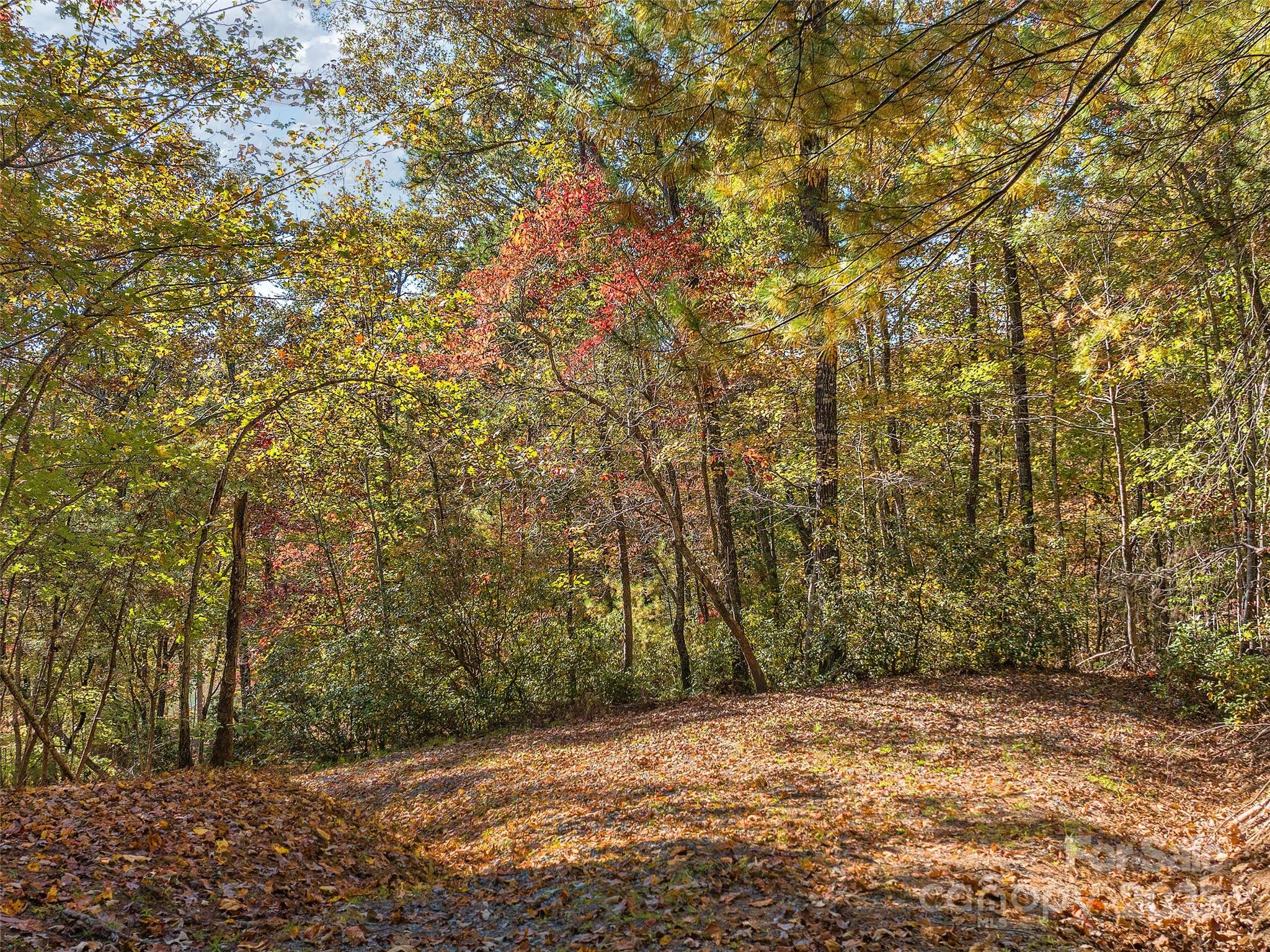 000 South Cove Road Mill Spring NC 28756