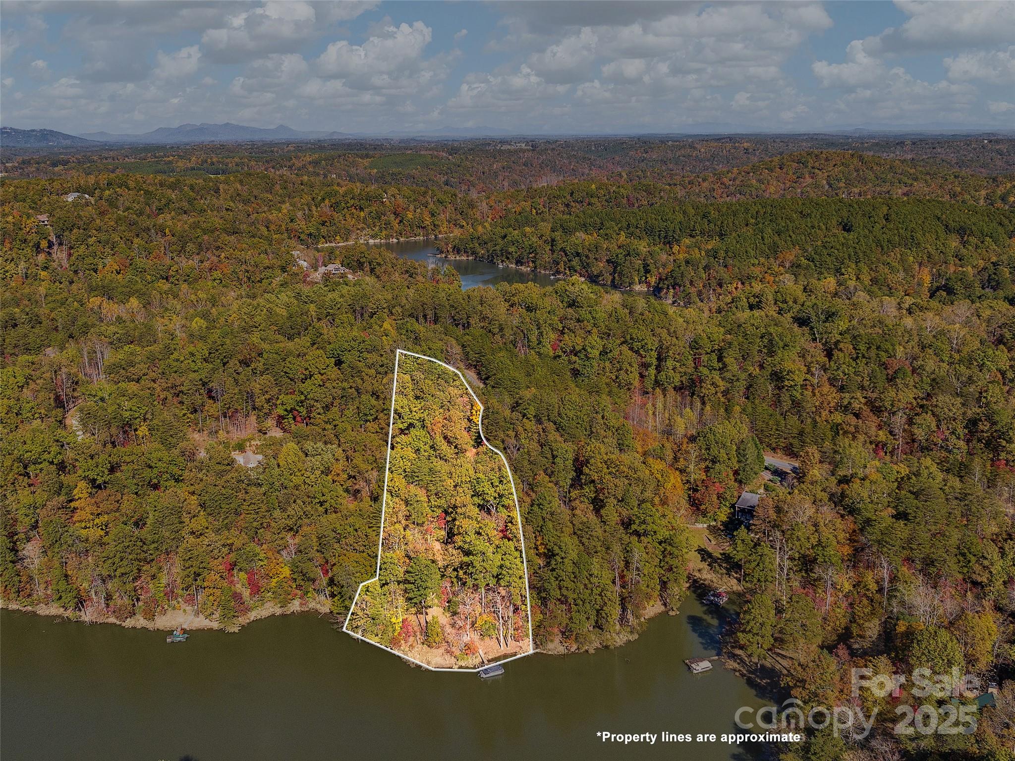 000 South Cove Road Mill Spring NC 28756