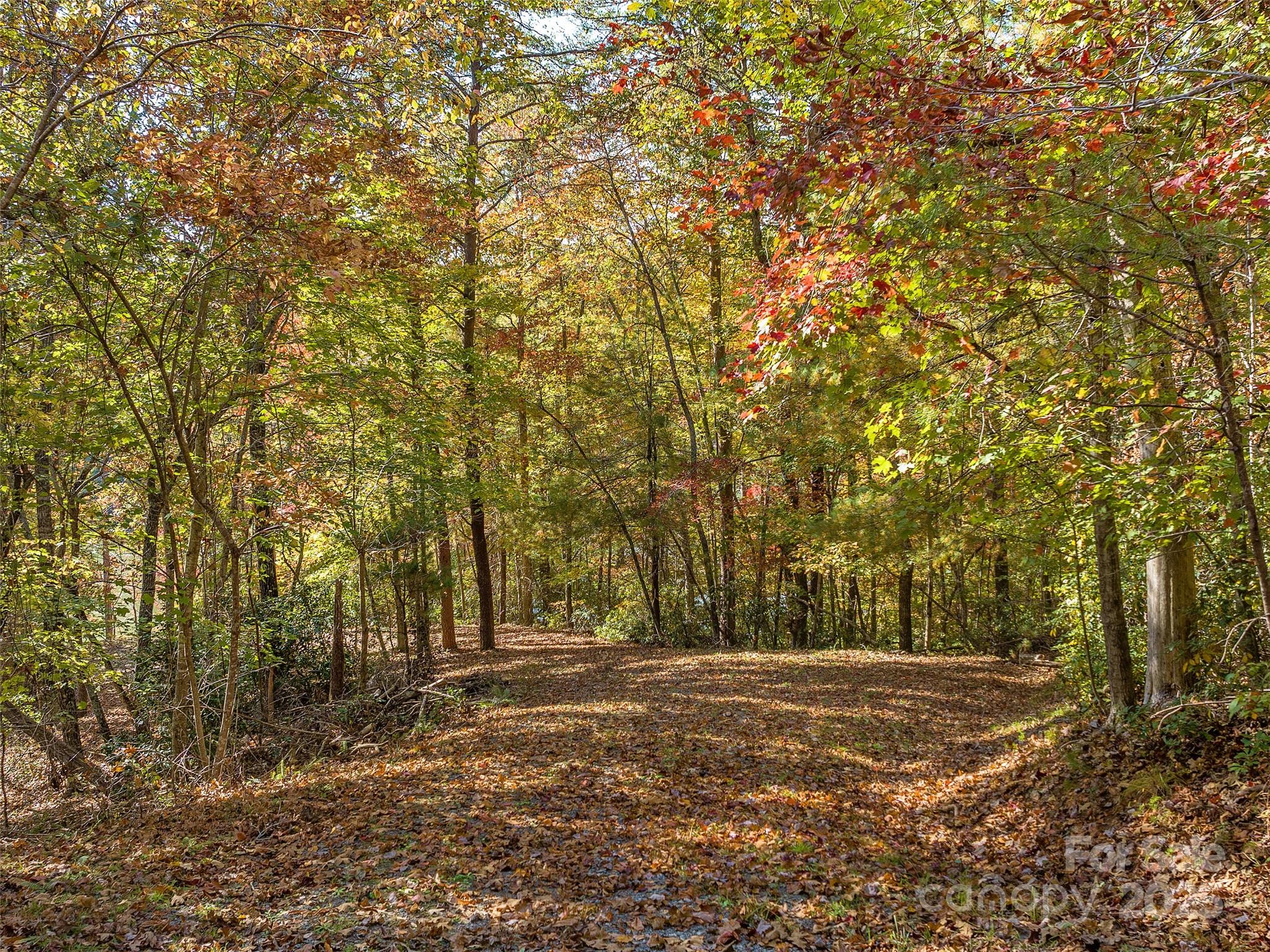 000 South Cove Road Mill Spring NC 28756