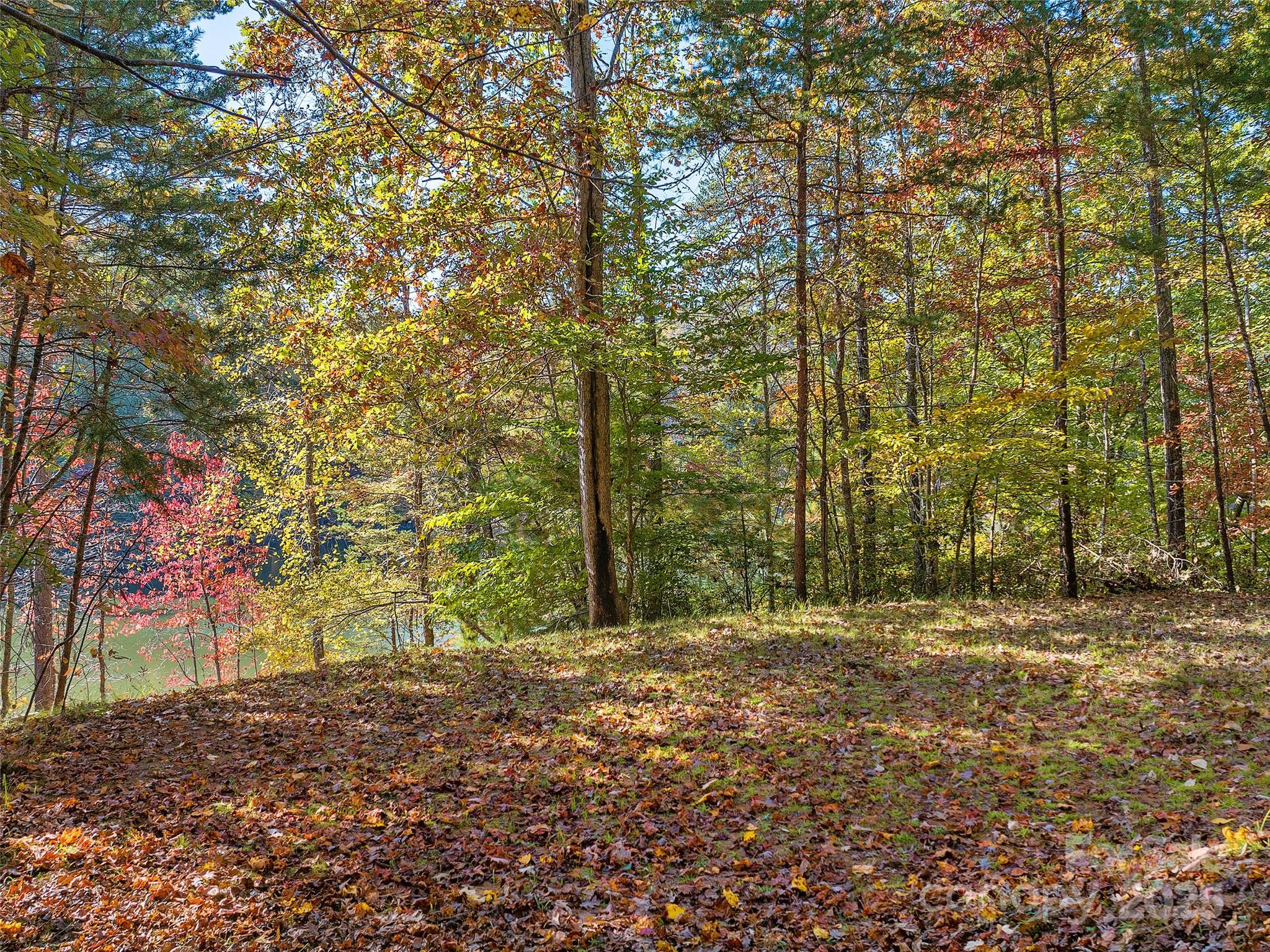 000 South Cove Road Mill Spring NC 28756
