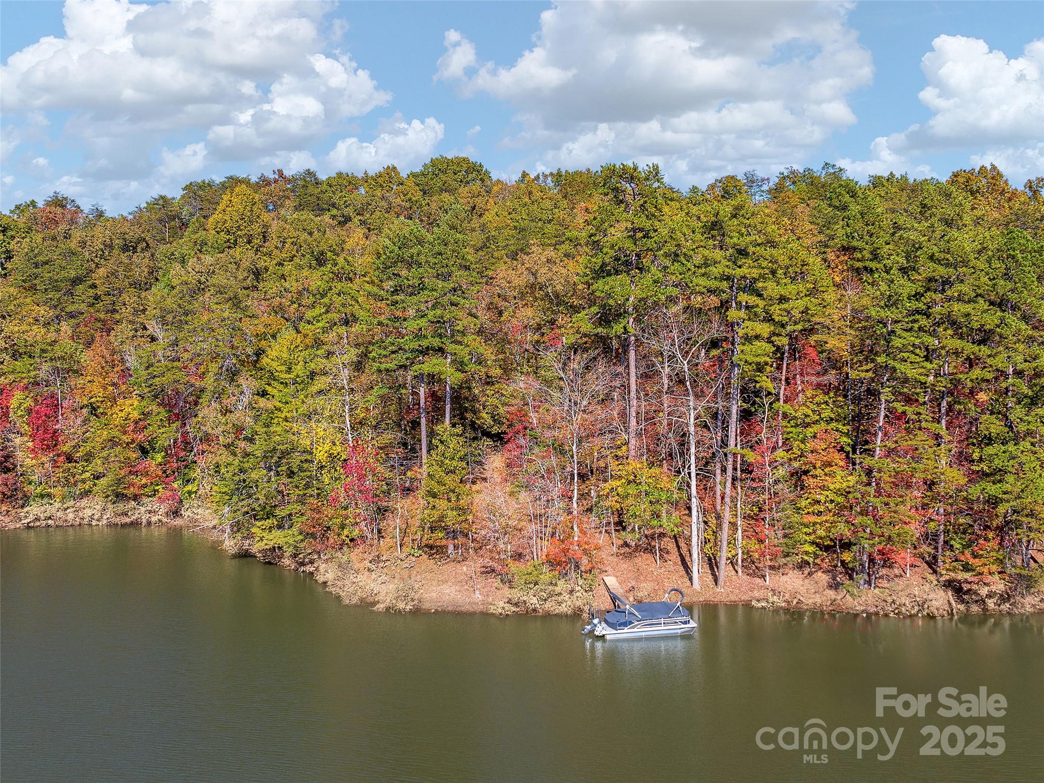 000 South Cove Road Mill Spring NC 28756