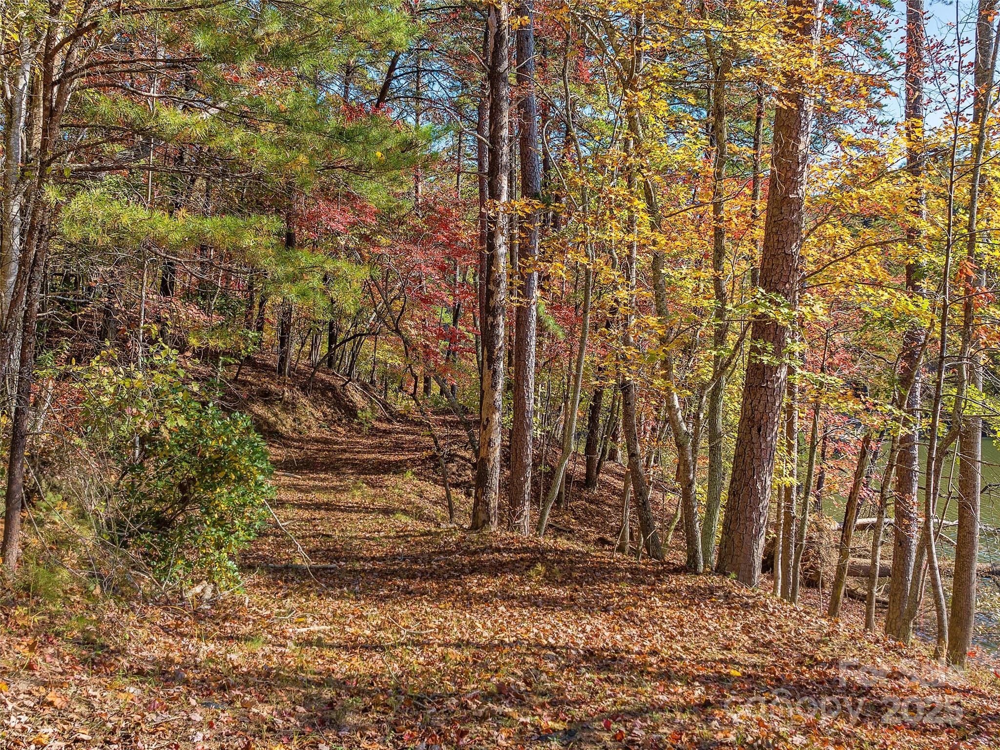 000 South Cove Road Mill Spring NC 28756