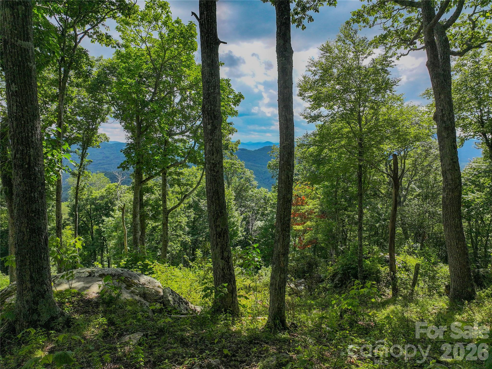 G30 Lodge Woods Trail Banner Elk NC 28604