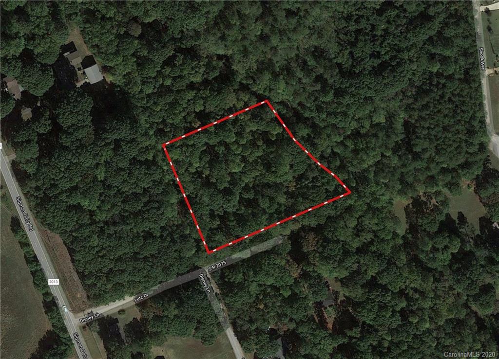 Near 1848 Disney Lane Newton NC 28658