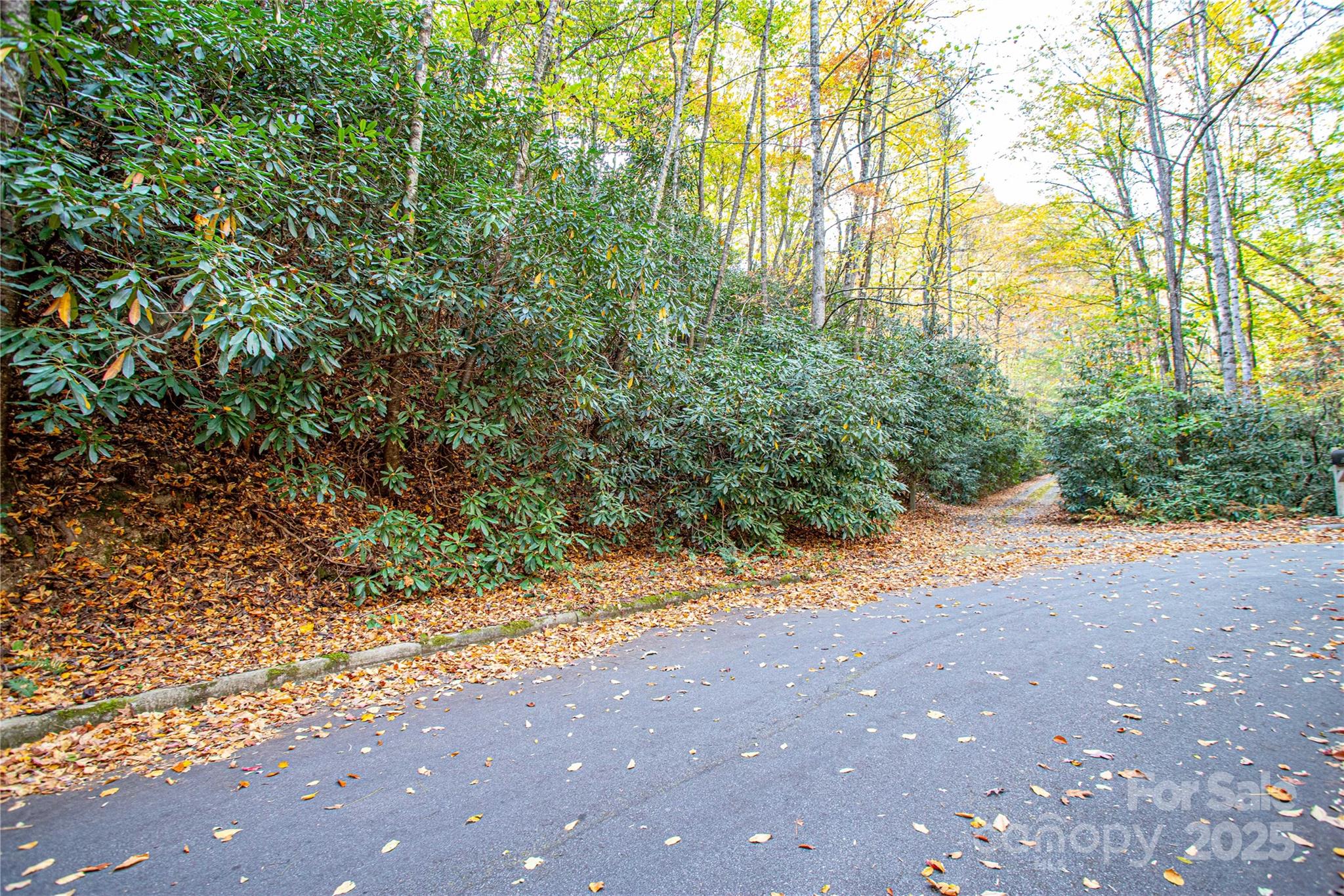 Tbd Stone Drive Brevard NC 28712
