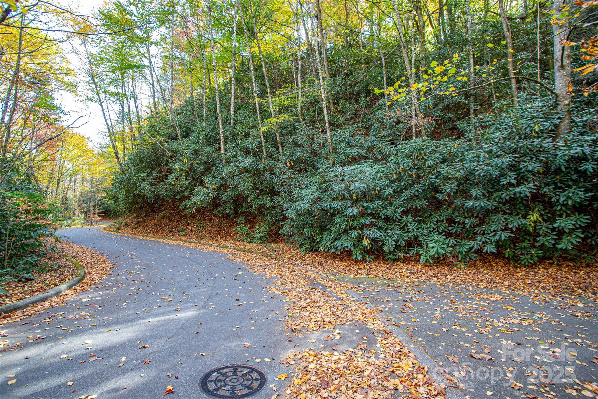 Tbd Stone Drive Brevard NC 28712