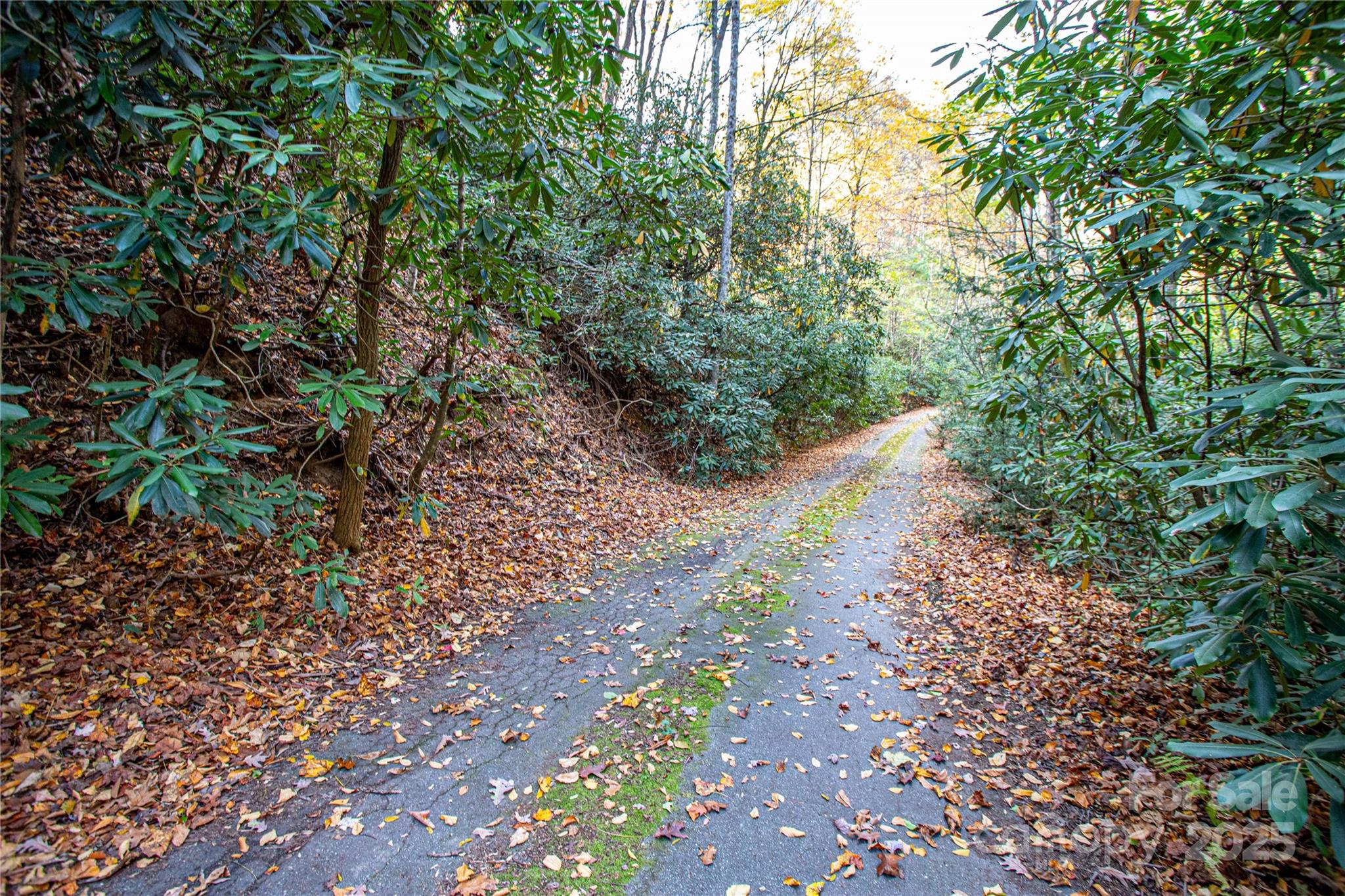 Tbd Stone Drive Brevard NC 28712