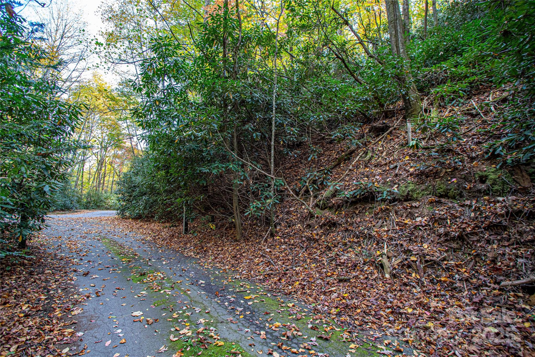 Tbd Stone Drive Brevard NC 28712
