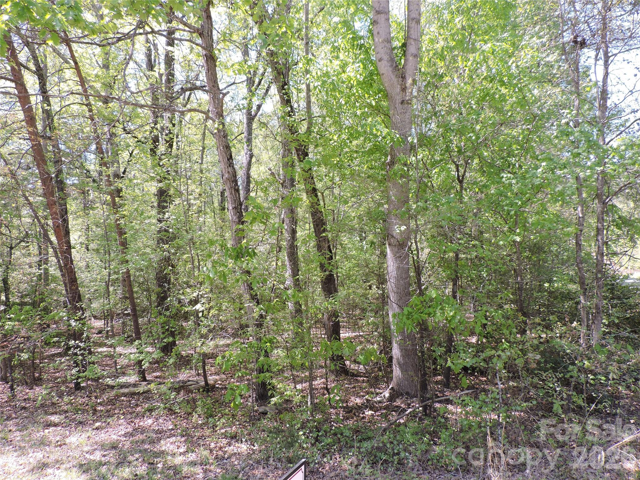 293 Manchester Road Mount Gilead NC 27306