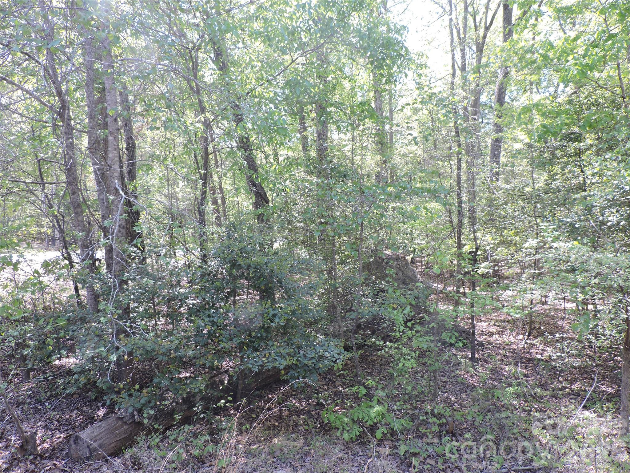 293 Manchester Road Mount Gilead NC 27306