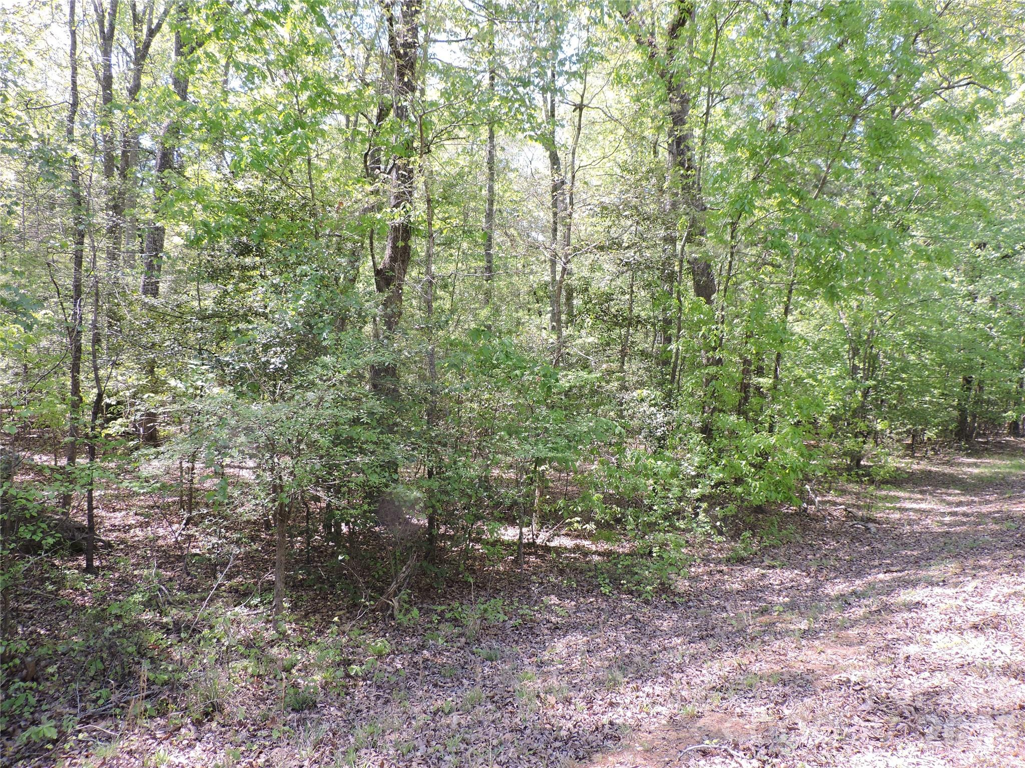 293 Manchester Road Mount Gilead NC 27306