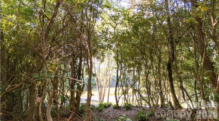 Tbd Clear Creek Drive Spruce Pine NC 28657