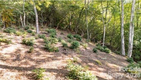 Tbd Clear Creek Drive Spruce Pine NC 28657