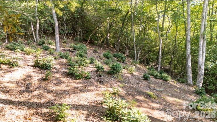 Tbd Clear Creek Drive Spruce Pine NC 28657