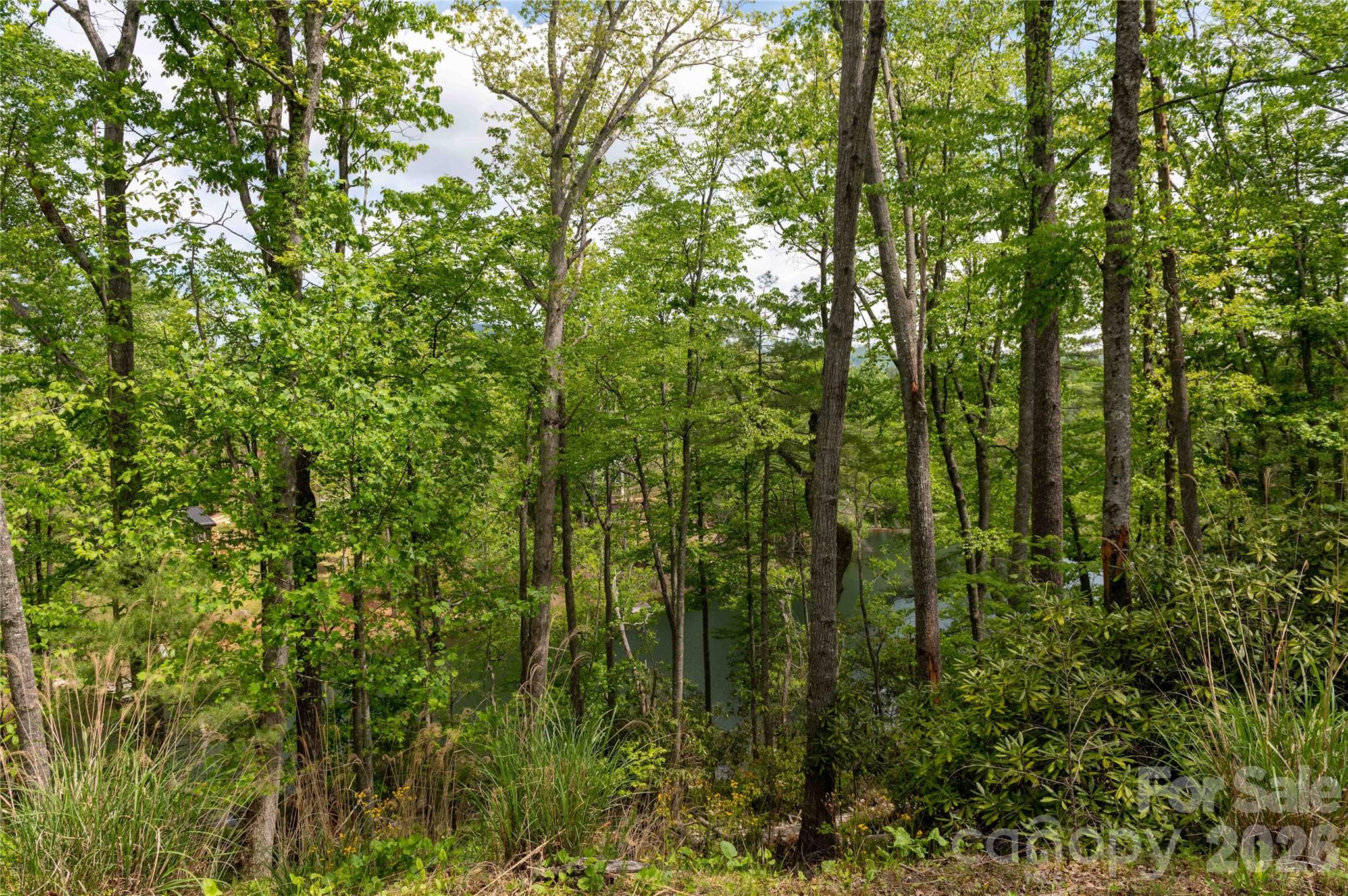 00 Deer Park Lake Road Spruce Pine NC 28777