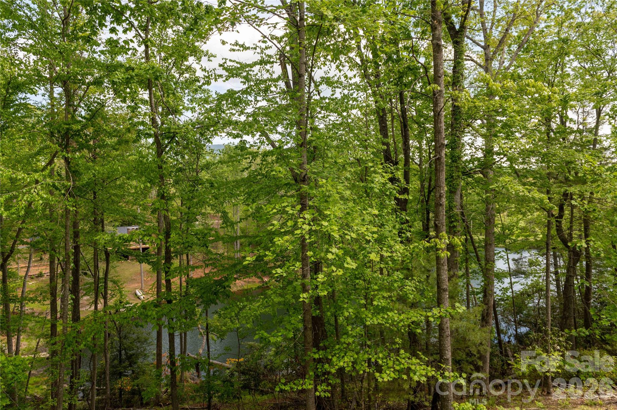 00 Deer Park Lake Road Spruce Pine NC 28777