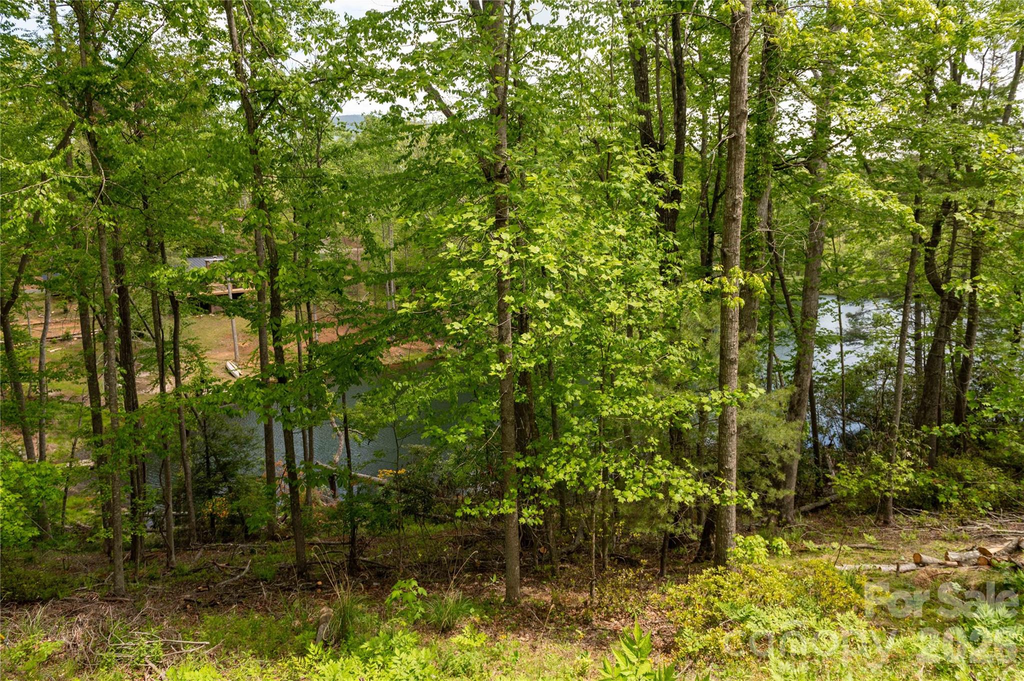 00 Deer Park Lake Road Spruce Pine NC 28777