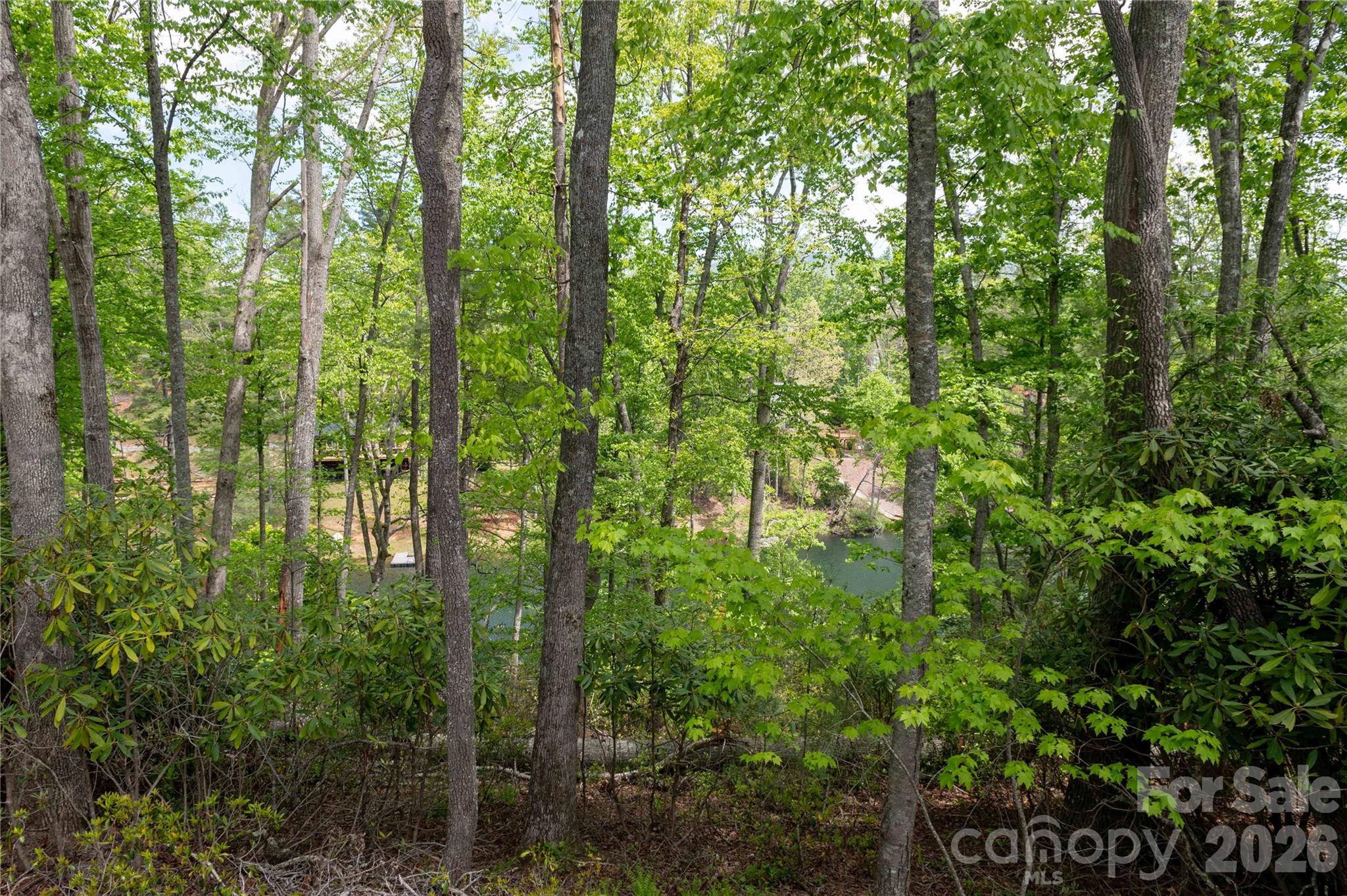 00 Deer Park Lake Road Spruce Pine NC 28777