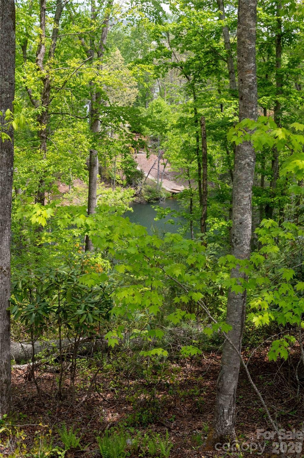 00 Deer Park Lake Road Spruce Pine NC 28777