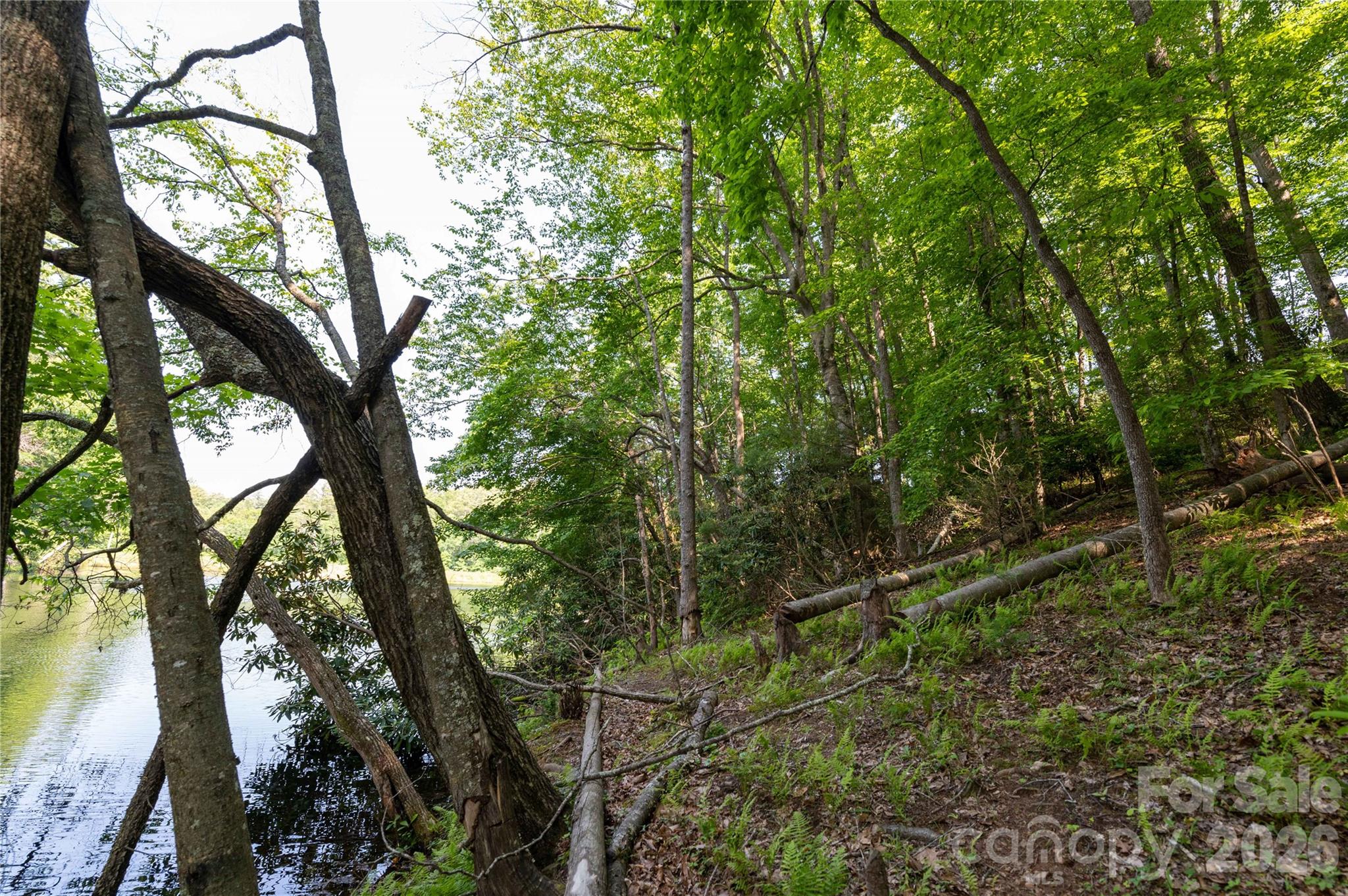 00 Deer Park Lake Road Spruce Pine NC 28777