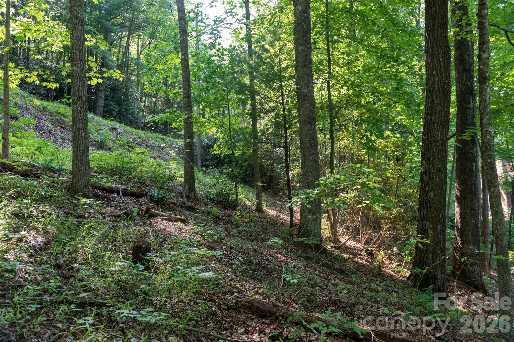 00 Deer Park Lake Road Spruce Pine NC 28777