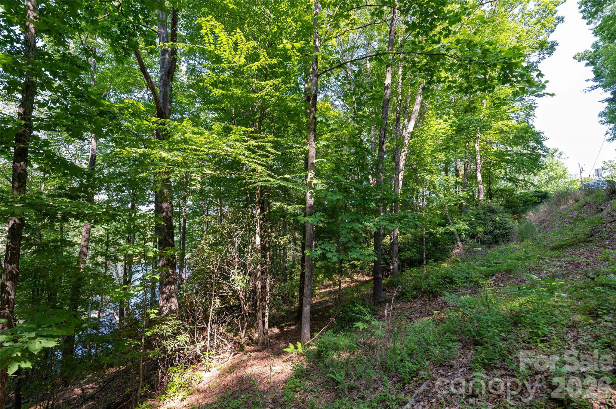00 Deer Park Lake Road Spruce Pine NC 28777