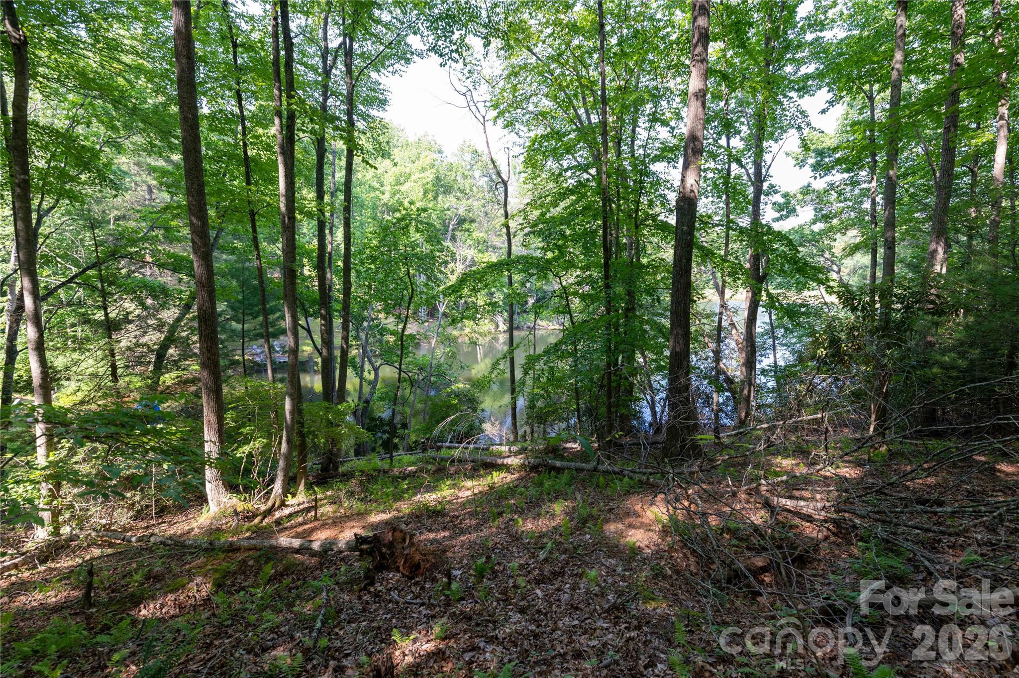 00 Deer Park Lake Road Spruce Pine NC 28777