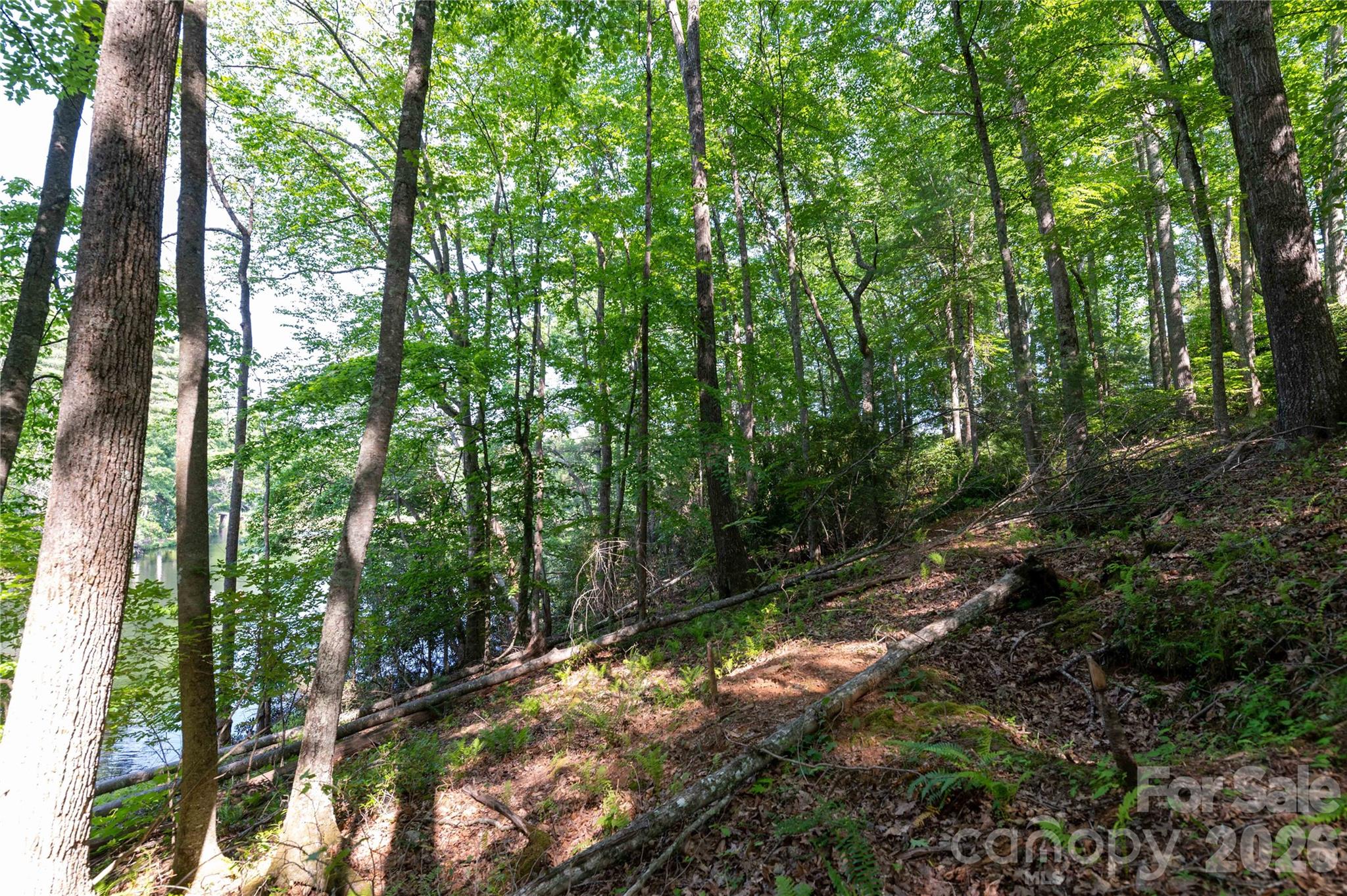 00 Deer Park Lake Road Spruce Pine NC 28777