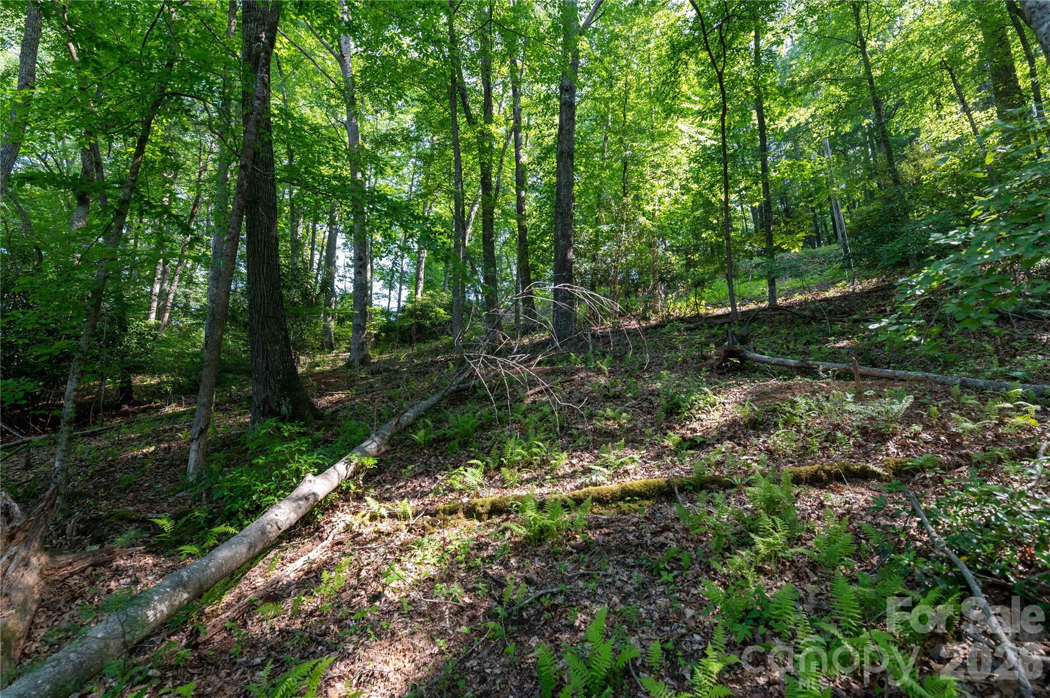 00 Deer Park Lake Road Spruce Pine NC 28777