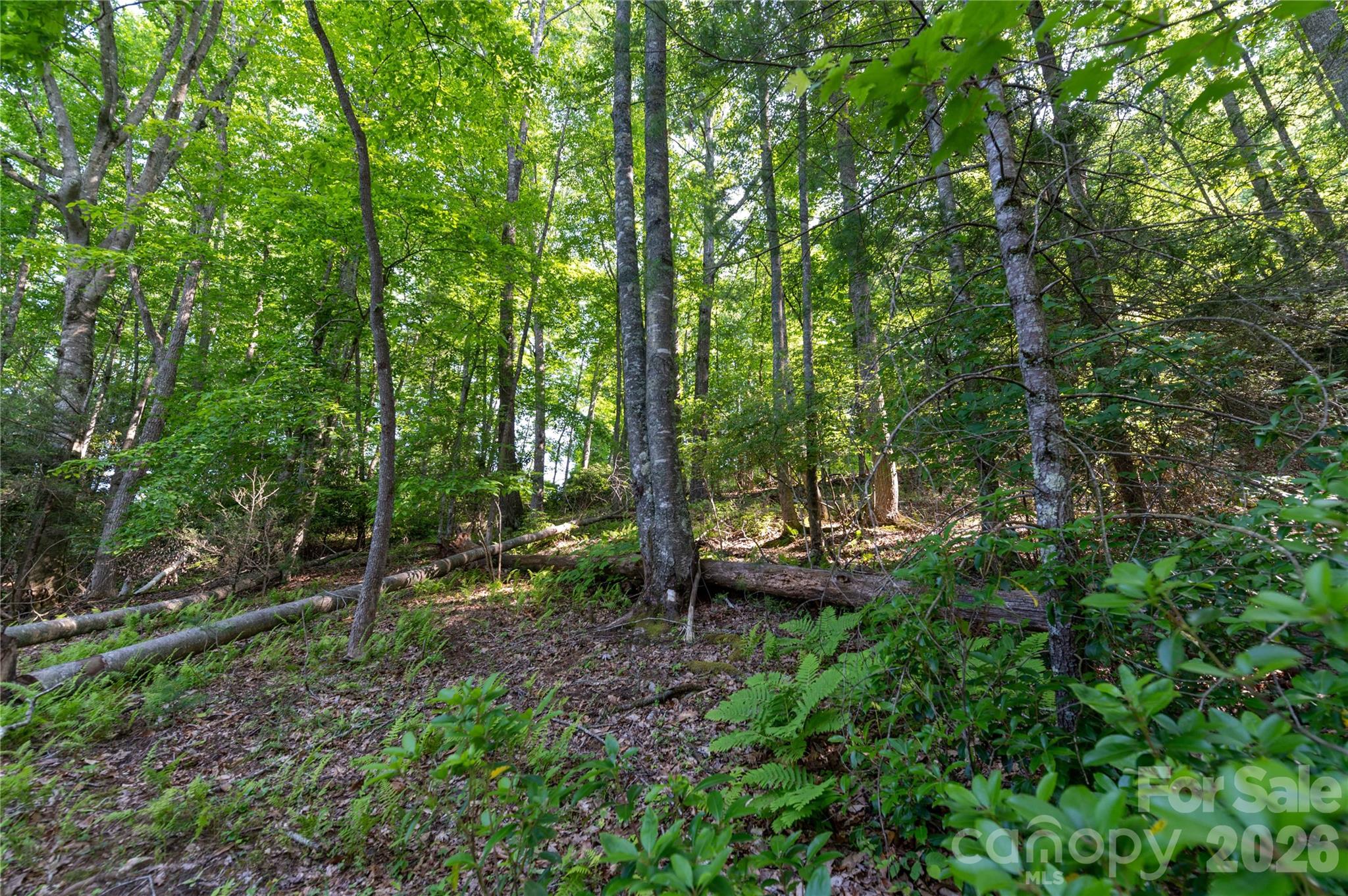 00 Deer Park Lake Road Spruce Pine NC 28777