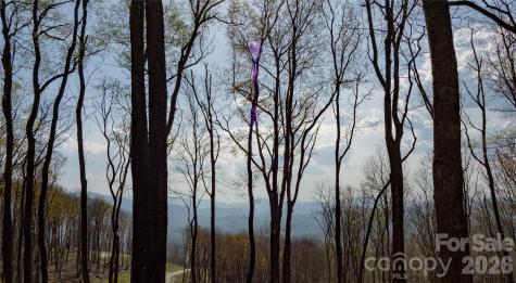 S-92 Talon Trail Banner Elk NC 28604