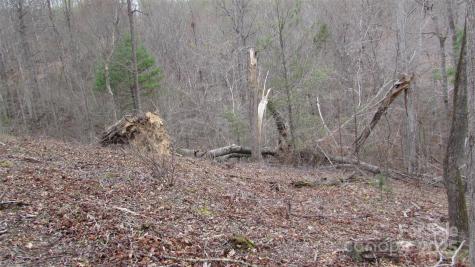 #74 Falling Water Drive Green Mountain NC 28740