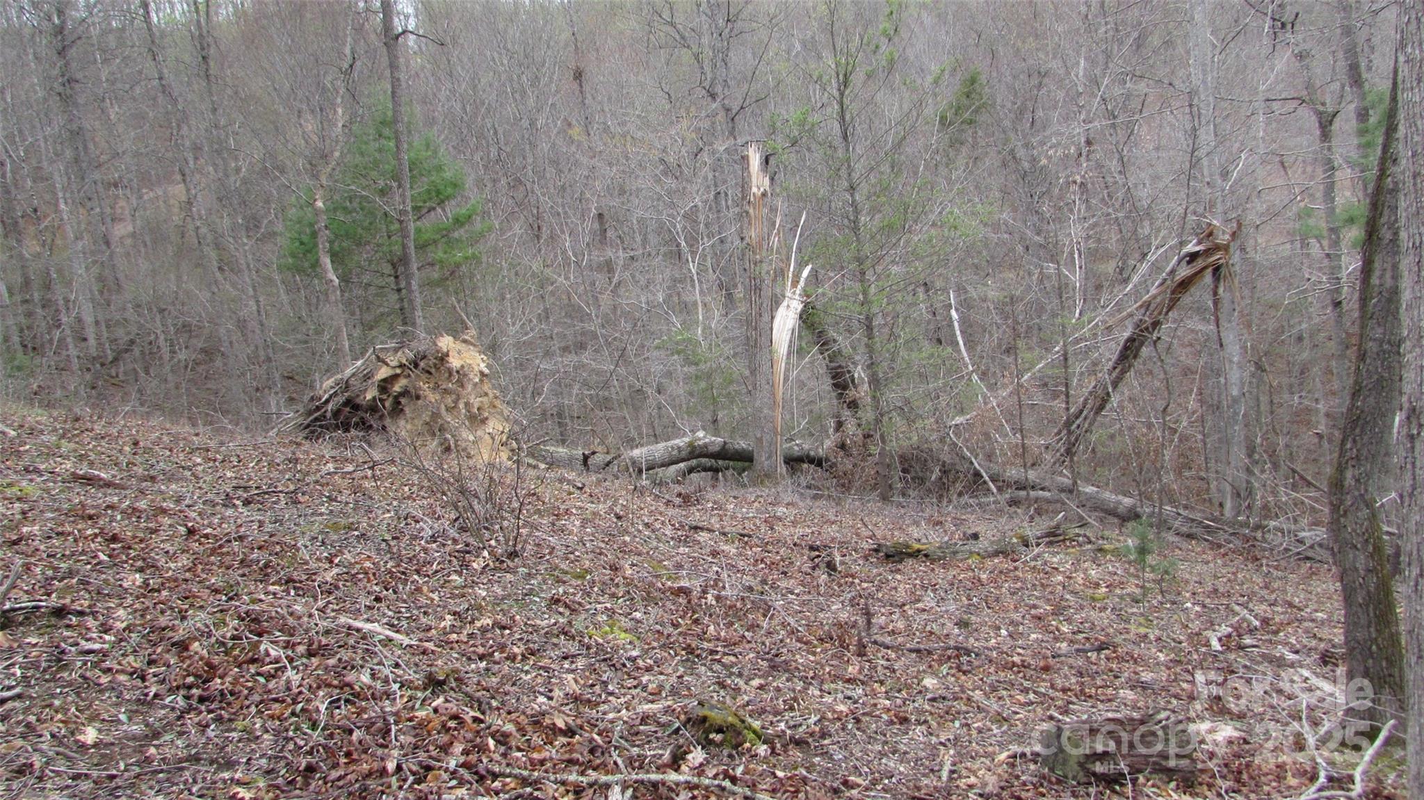 #74 Falling Water Drive Green Mountain NC 28740