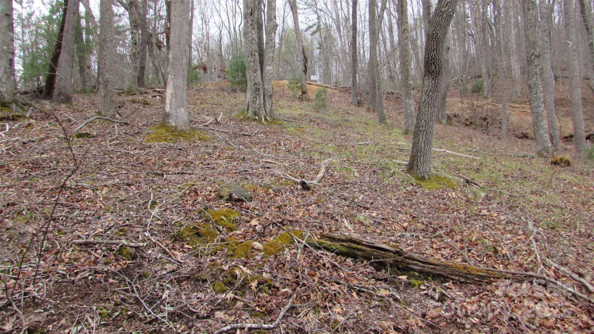 #74 Falling Water Drive Green Mountain NC 28740