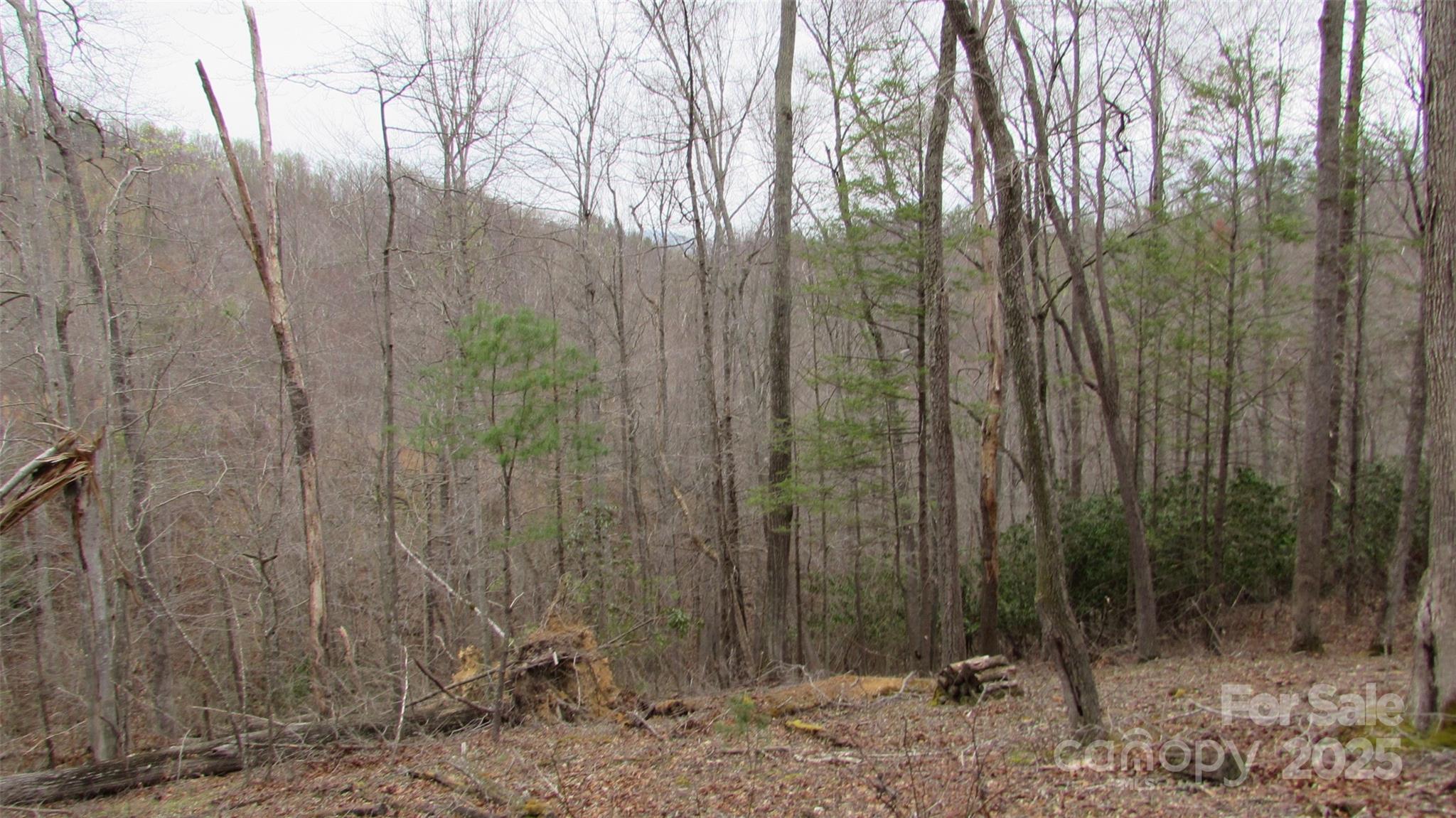 #74 Falling Water Drive Green Mountain NC 28740