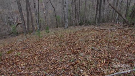 #74 Falling Water Drive Green Mountain NC 28740