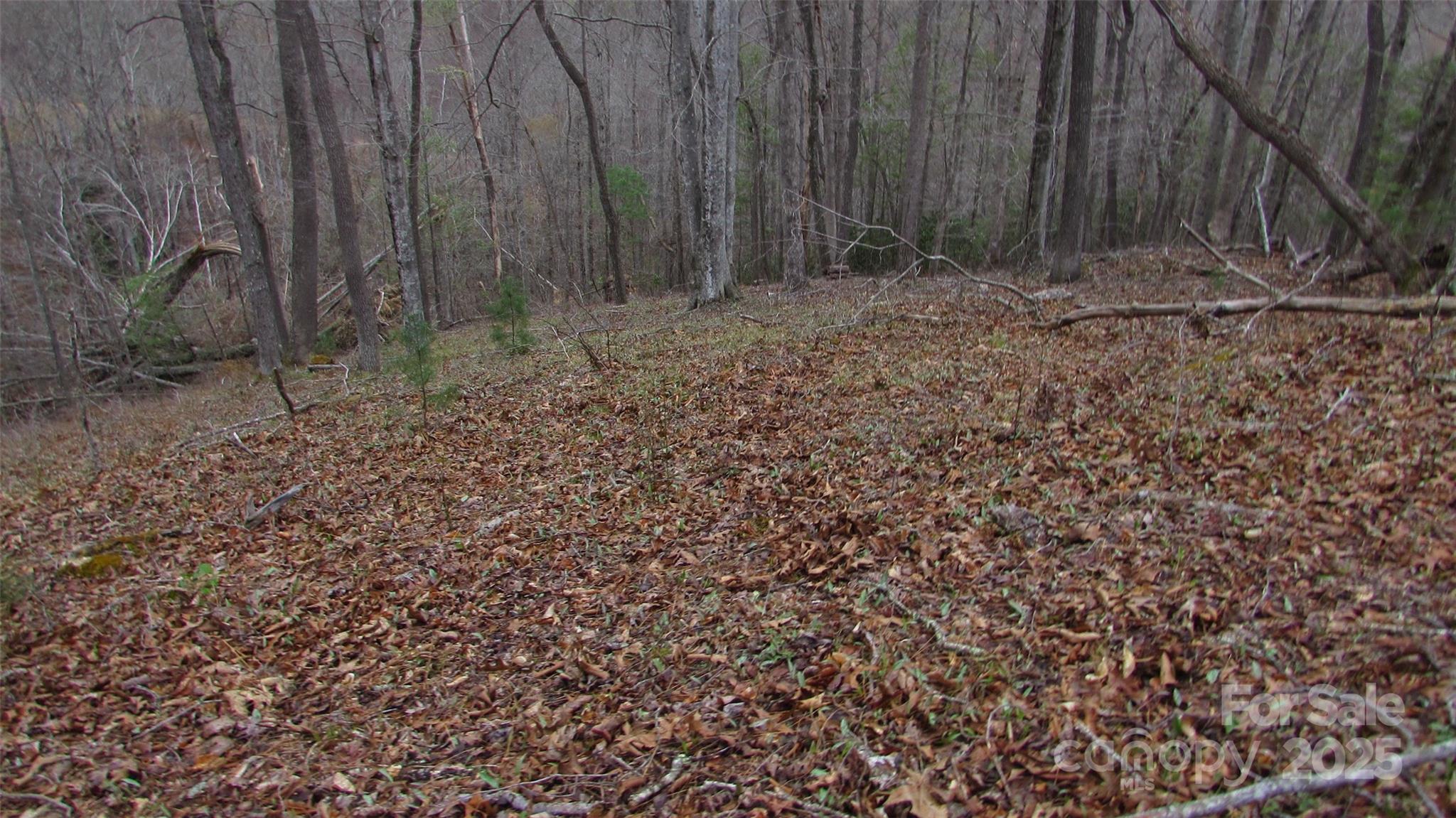 #74 Falling Water Drive Green Mountain NC 28740