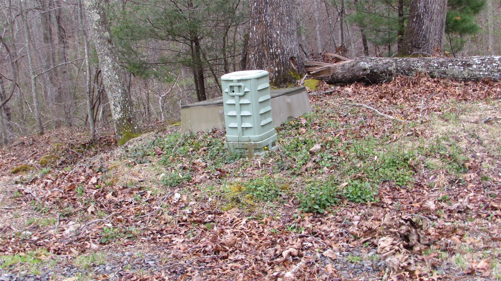 #74 Falling Water Drive Green Mountain NC 28740