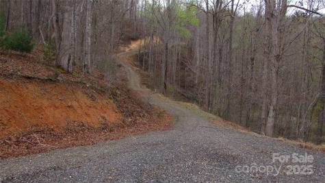 #74 Falling Water Drive Green Mountain NC 28740