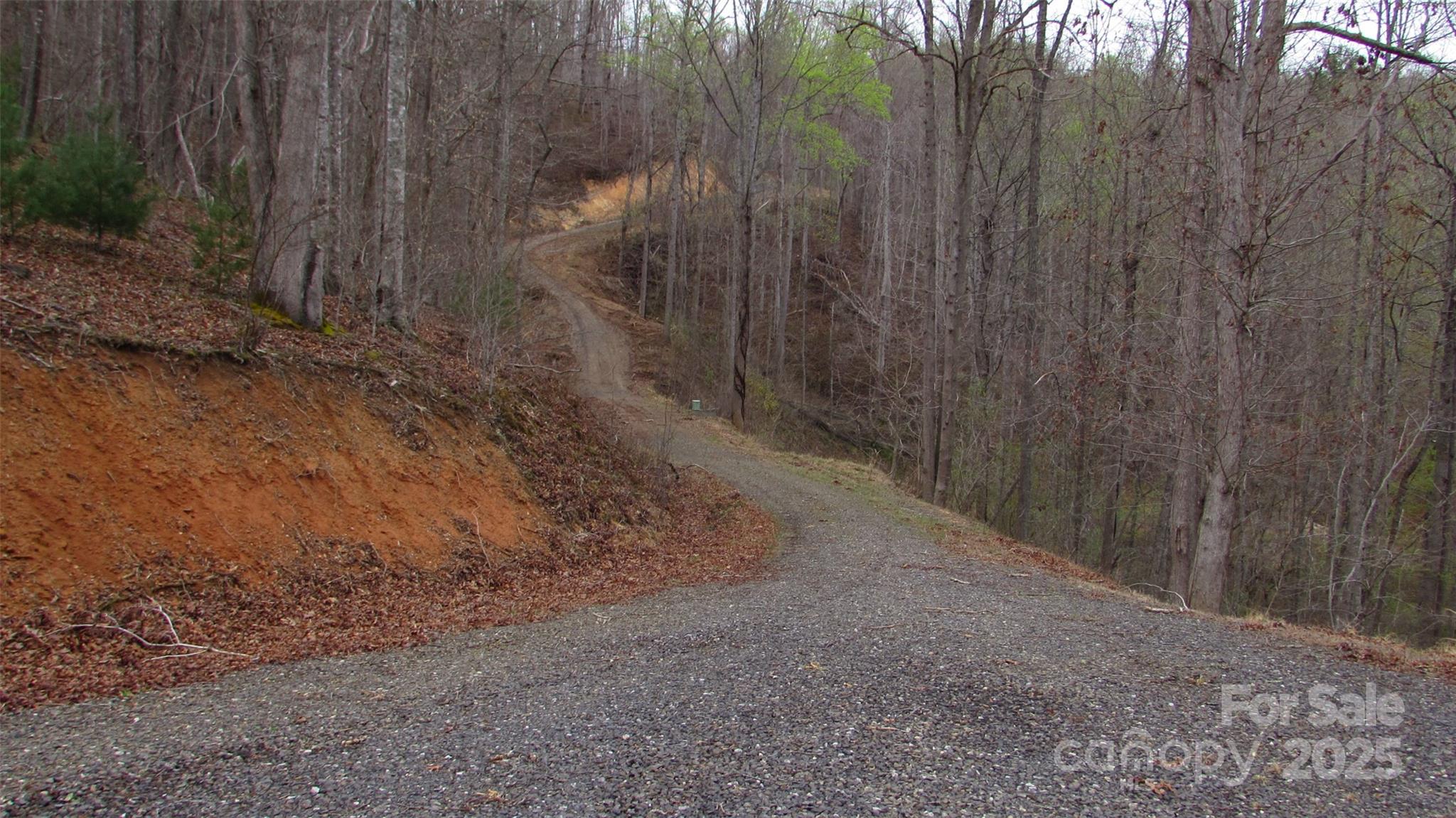 #74 Falling Water Drive Green Mountain NC 28740