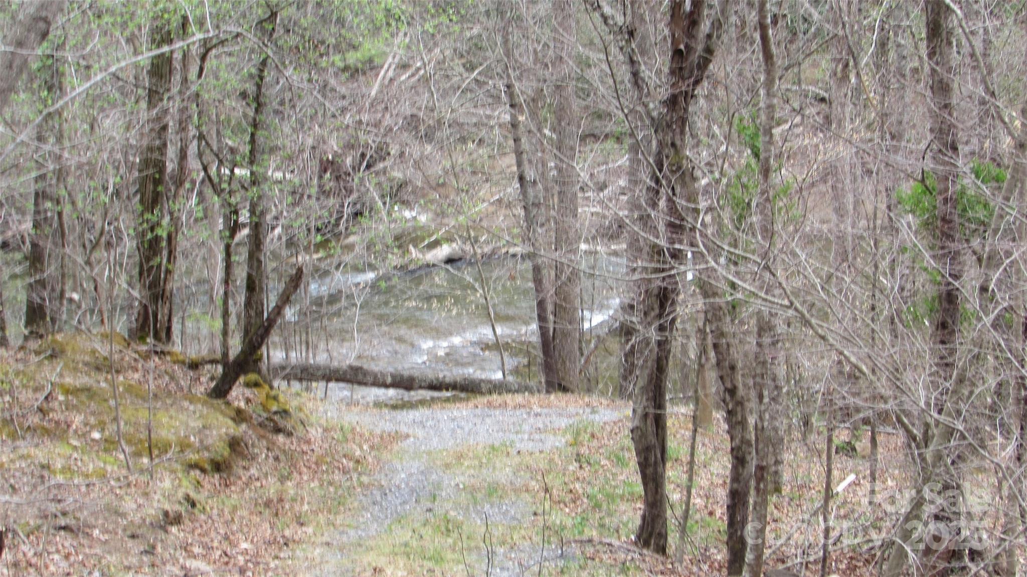 #74 Falling Water Drive Green Mountain NC 28740